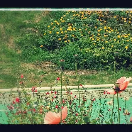 Bed & Breakfast D'hotes En Vallee Du Lot *